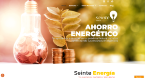 Lee más sobre el artículo Web Seinte Energía